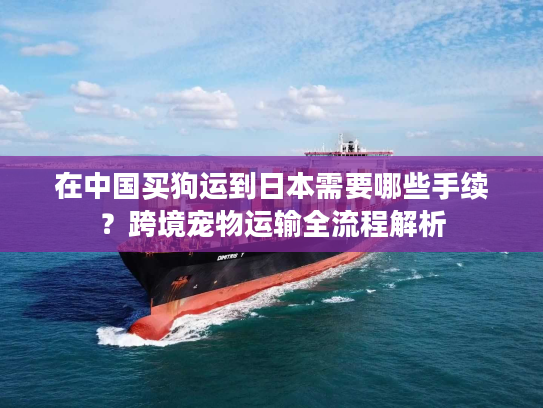 在中国买狗运到日本需要哪些手续？跨境宠物运输全流程解析