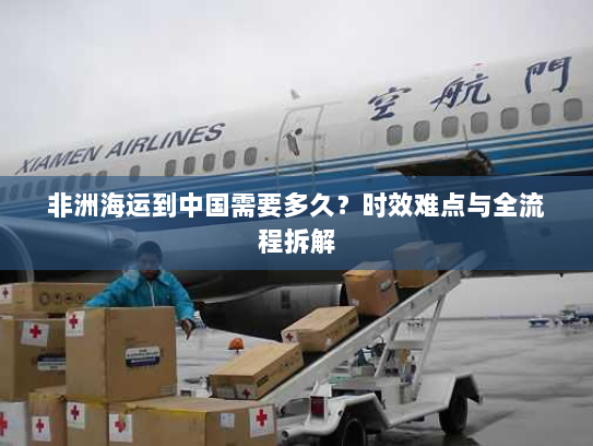 非洲海运到中国需要多久？时效难点与全流程拆解
