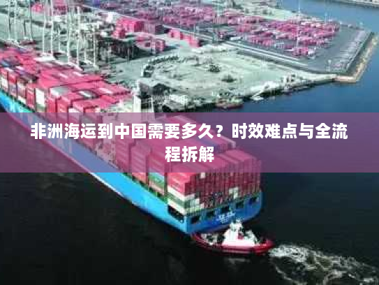 非洲海运到中国需要多久？时效难点与全流程拆解