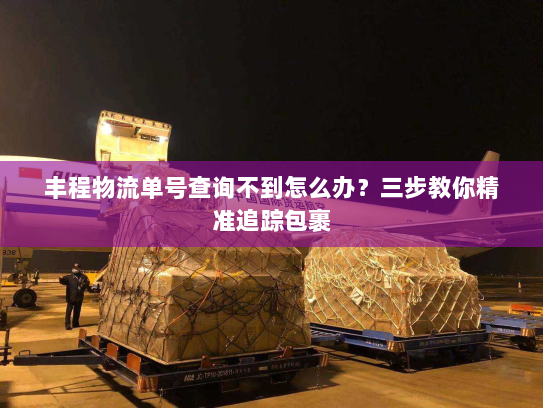 丰程物流单号查询不到怎么办？三步教你精准追踪包裹