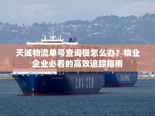 天诚物流单号查询慢怎么办？物业企业必看的高效追踪指南