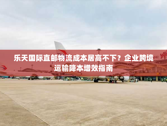 乐天国际直邮物流成本居高不下？企业跨境运输降本增效指南
