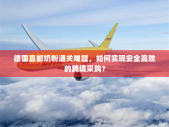 德国直邮奶粉通关难题，如何实现安全高效的跨境采购？