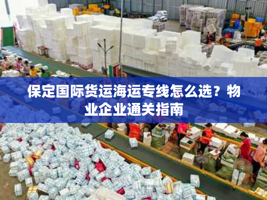保定国际货运海运专线怎么选？物业企业通关指南