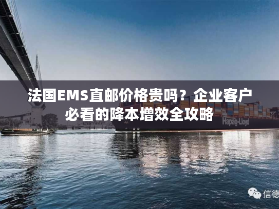 法国EMS直邮价格贵吗?企业客户必看的降本增效全攻略 法国EMS直邮价格贵吗?企业客户必看的降本增效全攻略