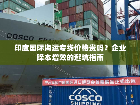 印度国际海运专线价格贵吗？企业降本增效的避坑指南