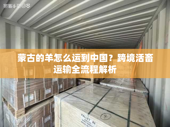 蒙古的羊怎么运到中国？跨境活畜运输全流程解析