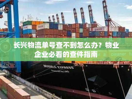 长兴物流单号查不到怎么办？物业企业必看的查件指南