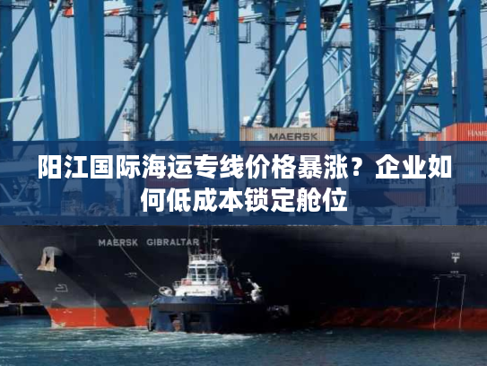 阳江国际海运专线价格暴涨?企业如何低成本锁定舱位 阳江国际海运专线价格暴涨?企业如何低成本锁定舱位