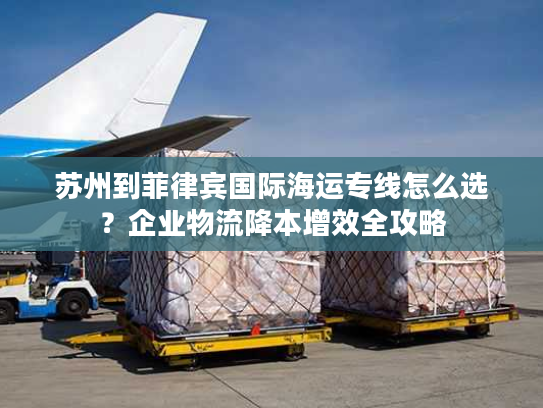 苏州到菲律宾国际海运专线怎么选？企业物流降本增效全攻略