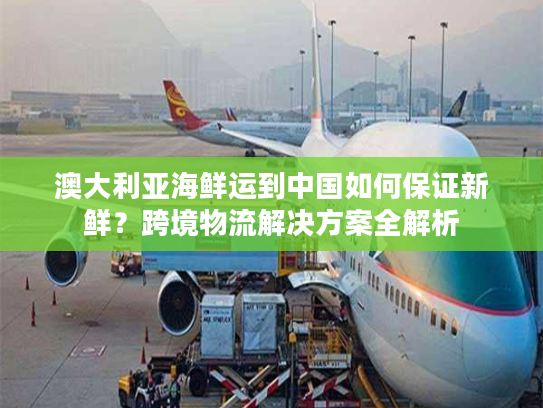 澳大利亚海鲜运到中国如何保证新鲜？跨境物流解决方案全解析