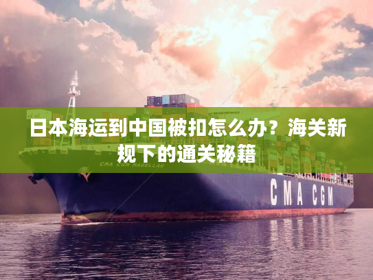 日本海运到中国被扣怎么办？海关新规下的通关秘籍