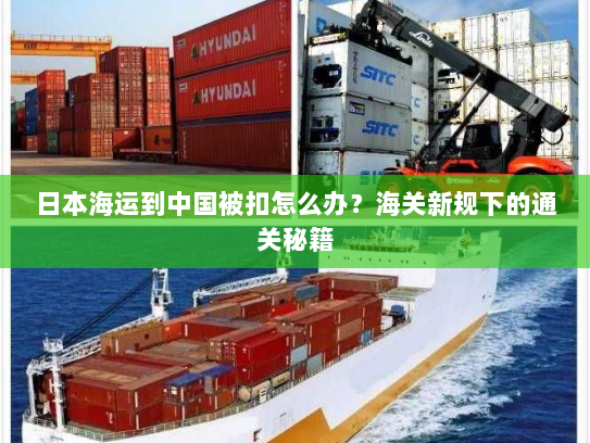 日本海运到中国被扣怎么办？海关新规下的通关秘籍