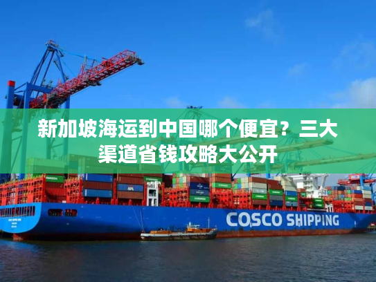 新加坡海运到中国哪个便宜？三大渠道省钱攻略大公开