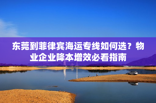 东莞到菲律宾海运专线如何选？物业企业降本增效必看指南