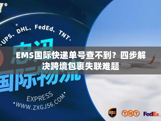 EMS国际快递单号查不到？四步解决跨境包裹失联难题
