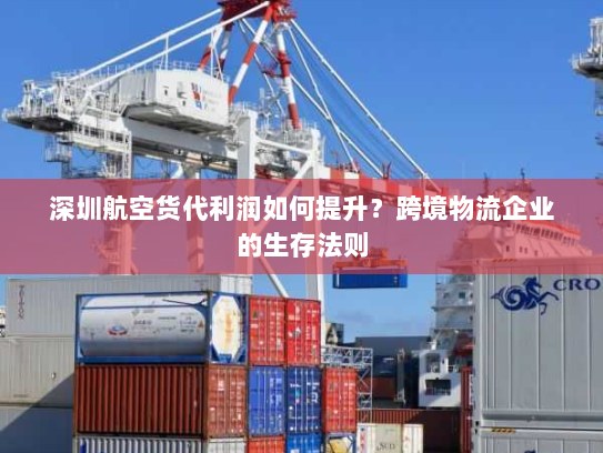 深圳航空货代利润如何提升？跨境物流企业的生存法则