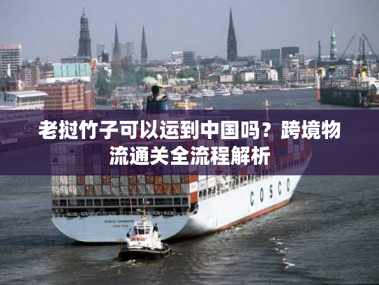 老挝竹子可以运到中国吗？跨境物流通关全流程解析