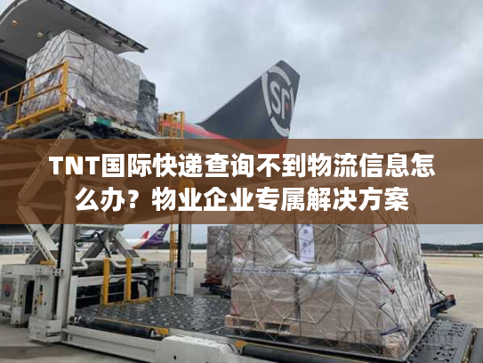 TNT国际快递查询不到物流信息怎么办？物业企业专属解决方案