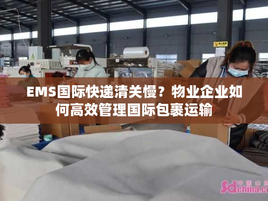 EMS国际快递清关慢？物业企业如何高效管理国际包裹运输