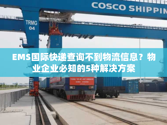 EMS国际快递查询不到物流信息？物业企业必知的5种解决方案
