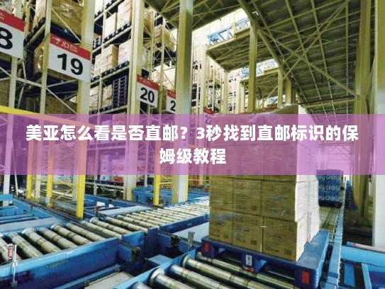 美亚怎么看是否直邮?3秒找到直邮标识的保姆级教程 美亚怎么看是否直邮?3秒找到直邮标识的保姆级教程