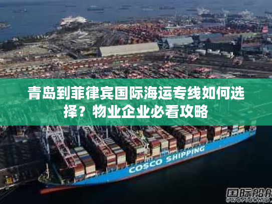 青岛到菲律宾国际海运专线如何选择？物业企业必看攻略