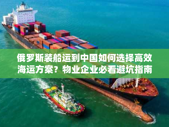 俄罗斯装船运到中国如何选择高效海运方案？物业企业必看避坑指南