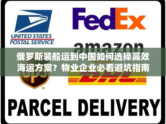 俄罗斯装船运到中国如何选择高效海运方案？物业企业必看避坑指南