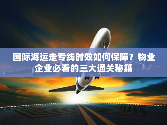 国际海运走专线时效如何保障？物业企业必看的三大通关秘籍