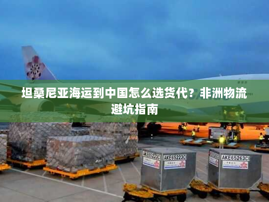 坦桑尼亚海运到中国怎么选货代？非洲物流避坑指南