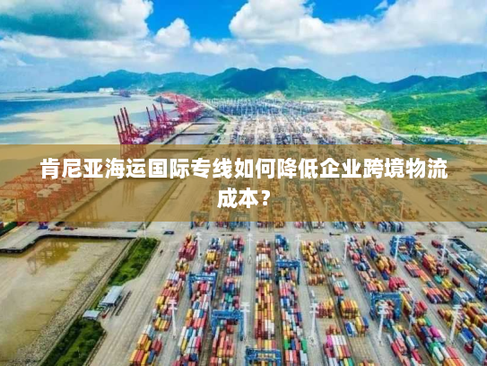 肯尼亚海运国际专线如何降低企业跨境物流成本？