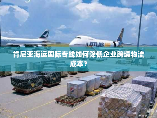 肯尼亚海运国际专线如何降低企业跨境物流成本？