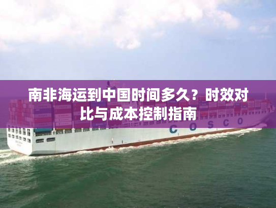 南非海运到中国时间多久？时效对比与成本控制指南