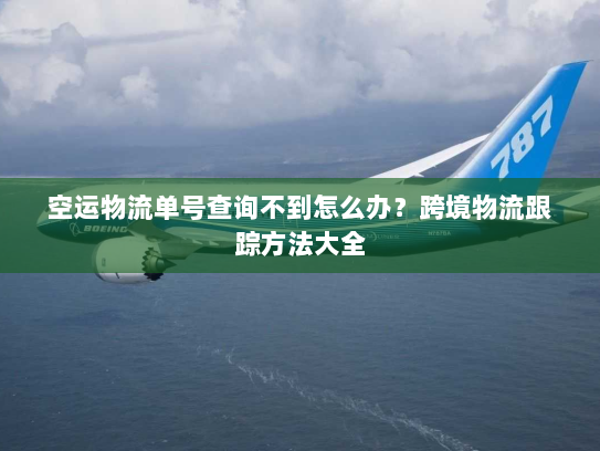 空运物流单号查询不到怎么办？跨境物流跟踪方法大全