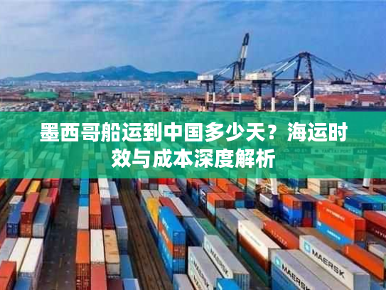 墨西哥船运到中国多少天？海运时效与成本深度解析