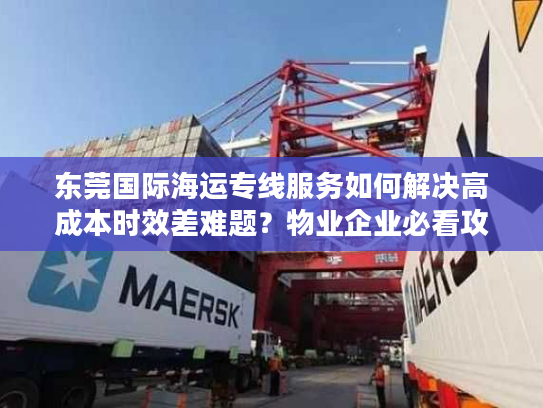 东莞国际海运专线服务如何解决高成本时效差难题？物业企业必看攻略