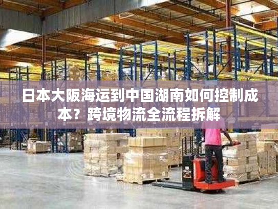 日本大阪海运到中国湖南如何控制成本？跨境物流全流程拆解