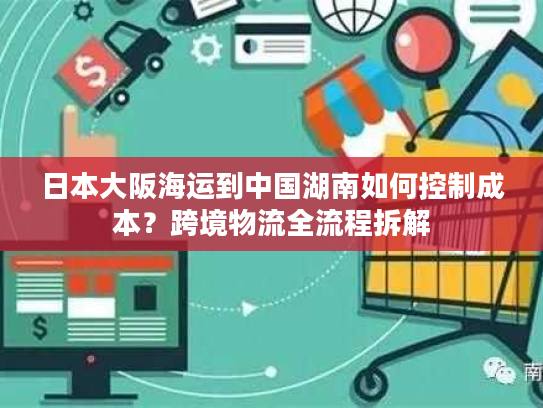 日本大阪海运到中国湖南如何控制成本？跨境物流全流程拆解
