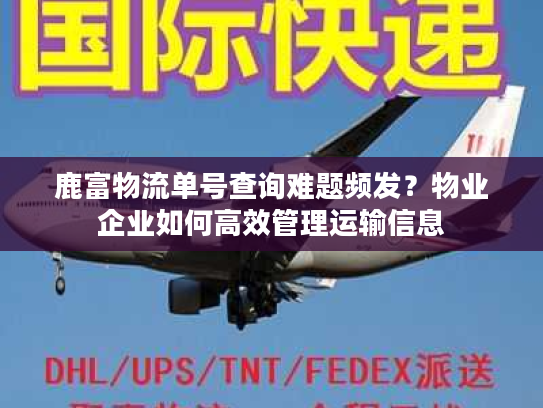 鹿富物流单号查询难题频发？物业企业如何高效管理运输信息