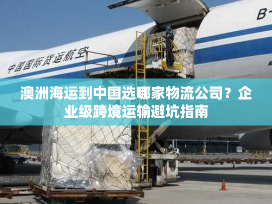 澳洲海运到中国选哪家物流公司？企业级跨境运输避坑指南