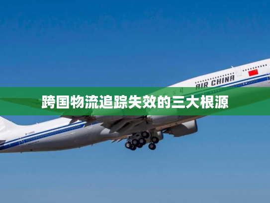 跨国物流追踪失效的三大根源