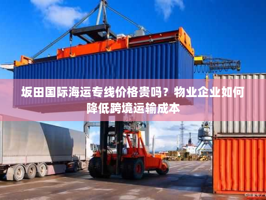 坂田国际海运专线价格贵吗？物业企业如何降低跨境运输成本