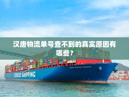 汉唐物流单号查不到的真实原因有哪些？