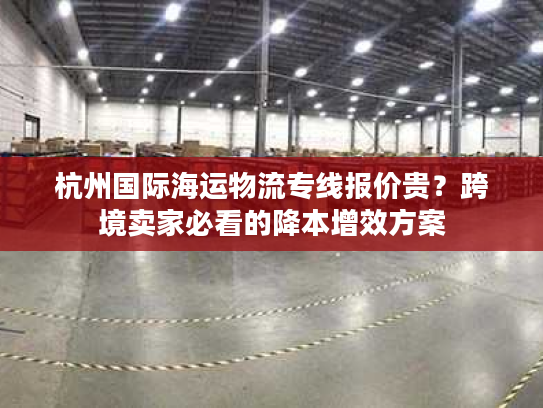 杭州国际海运物流专线报价贵？跨境卖家必看的降本增效方案