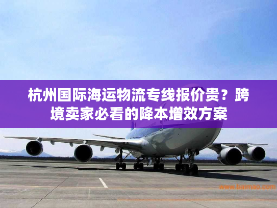 杭州国际海运物流专线报价贵？跨境卖家必看的降本增效方案