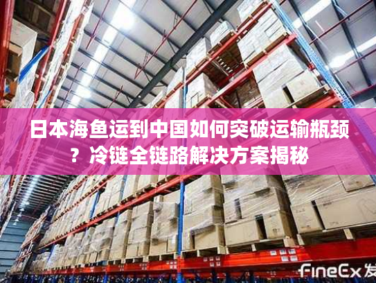 日本海鱼运到中国如何突破运输瓶颈？冷链全链路解决方案揭秘