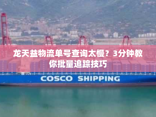 龙天益物流单号查询太慢？3分钟教你批量追踪技巧
