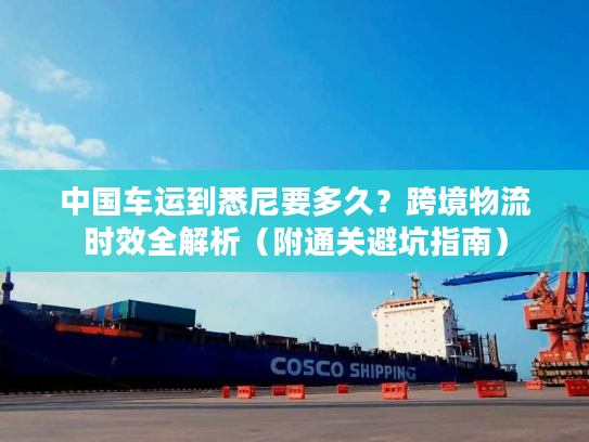 中国车运到悉尼要多久？跨境物流时效全解析（附通关避坑指南）