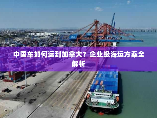 中国车如何运到加拿大？企业级海运方案全解析